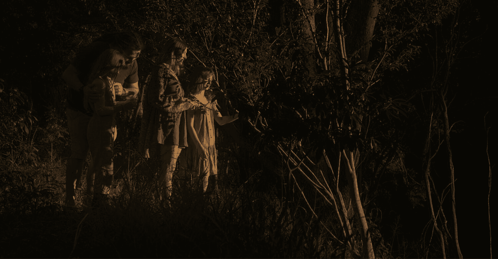 The Wilderness Society
